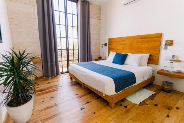 Baja House Hotel Todos Santos Ngoại thất bức ảnh