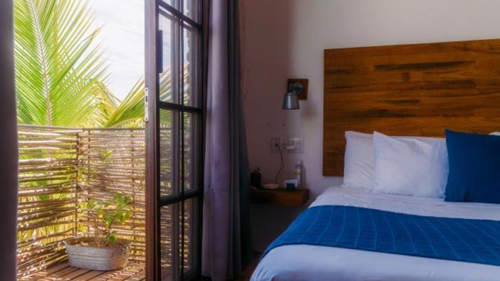 Baja House Hotel Todos Santos Ngoại thất bức ảnh