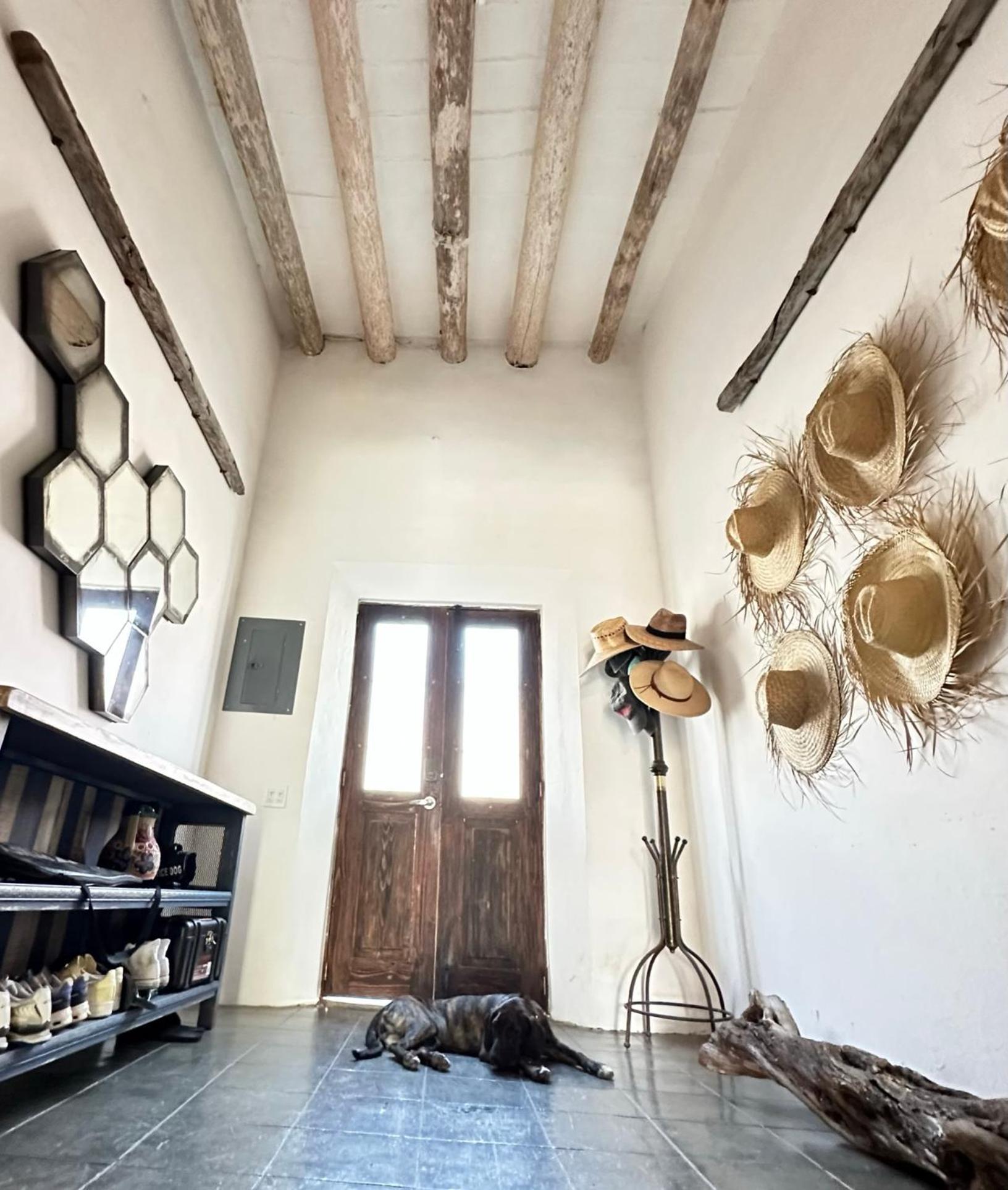 Baja House Hotel Todos Santos Ngoại thất bức ảnh