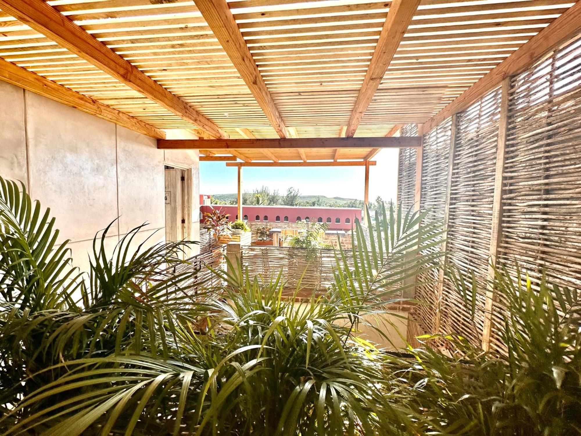 Baja House Hotel Todos Santos Ngoại thất bức ảnh